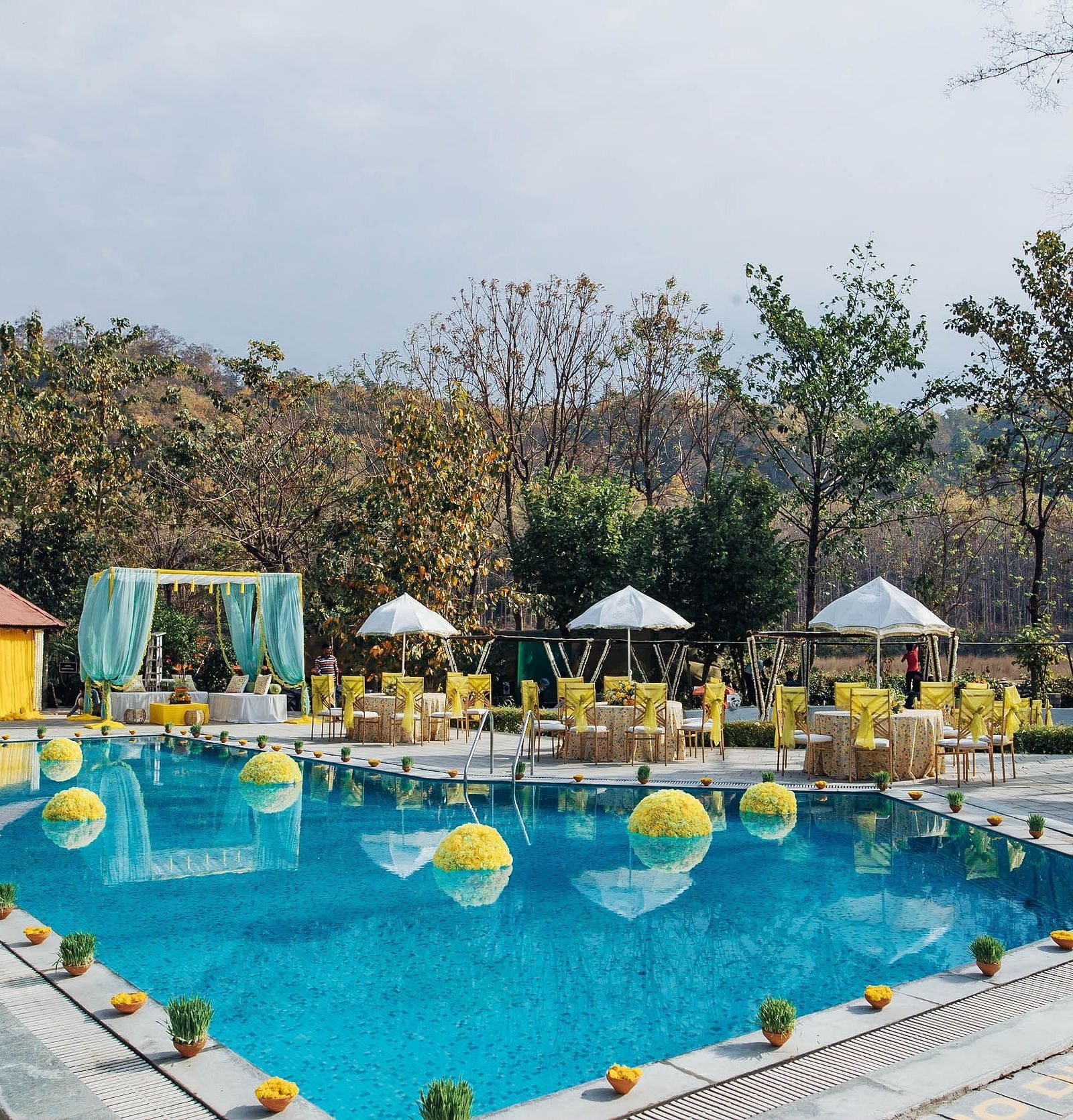 Outdoor swimming pool beautifully decorated with flowers.