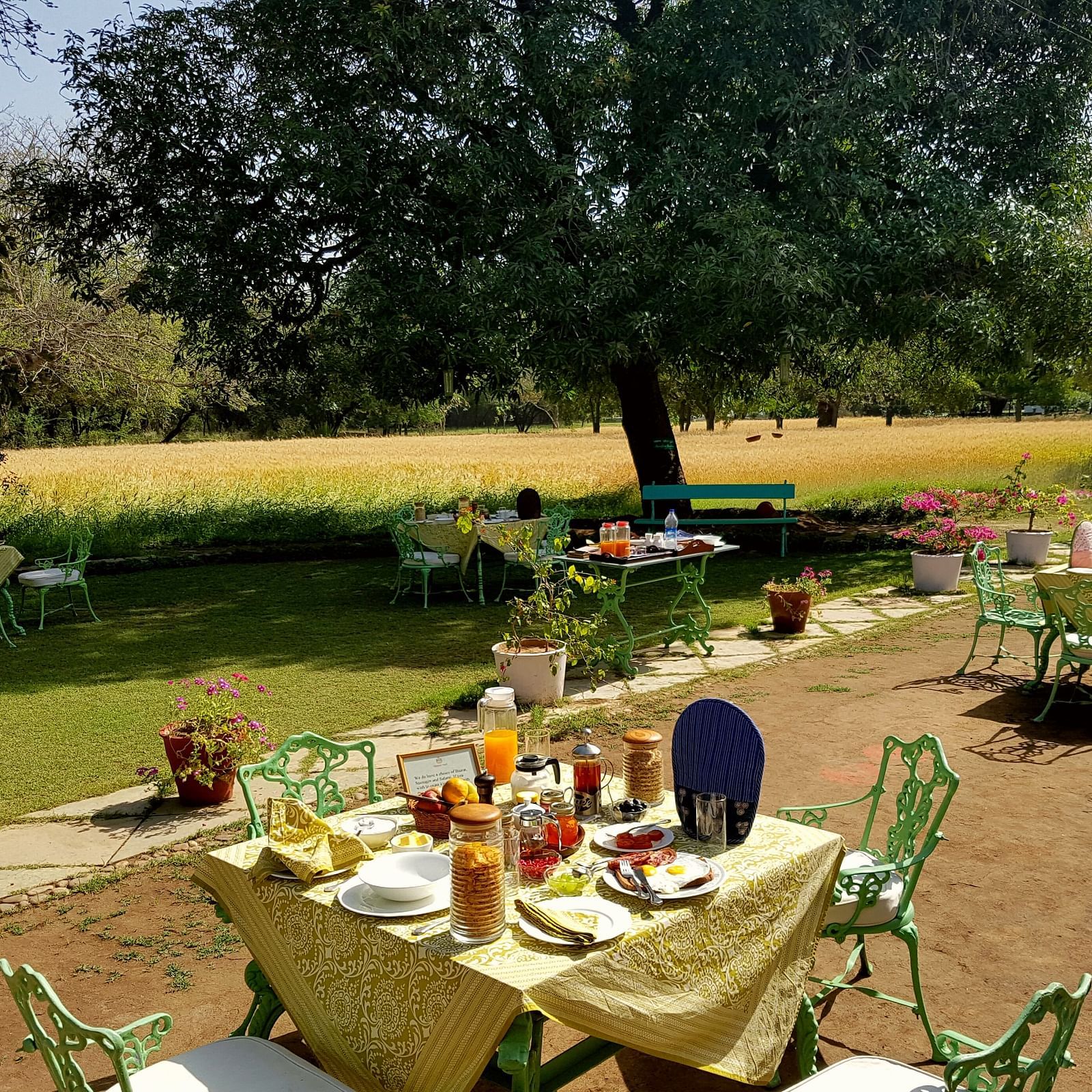 An outdoor dining area with tables set for a meal, surrounded by trees and a grassy field, with a person seated in the distance- Shahpura Bagh.