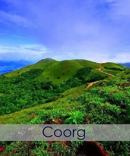 Lush green hills in Coorg during the day