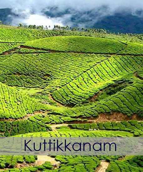 Lush green rolling hills at Kuttikknam