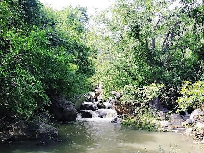  Shot of Mayiluthu Falls surrounded by dense forests and rocky terrain