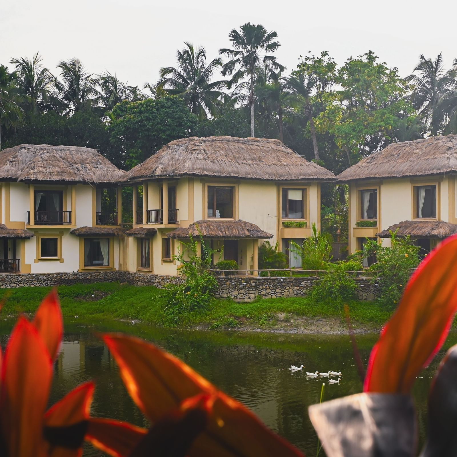 Row of thatched-roof Lake View Villas at Vedic Village Spa Resort with balconies facing the lake and ducks swimming in the water.