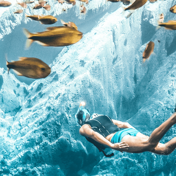 a person swimming underwater next to a school of fish