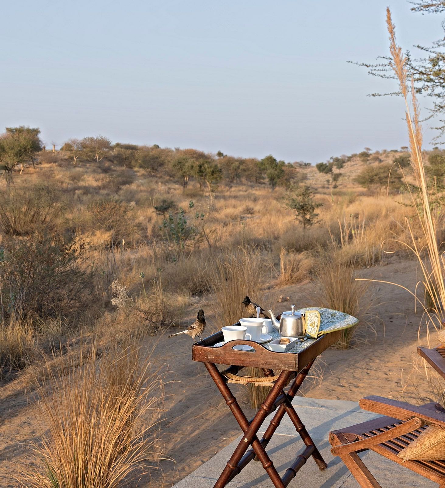 Sit-out area at Manvar Resort and Desert Camp