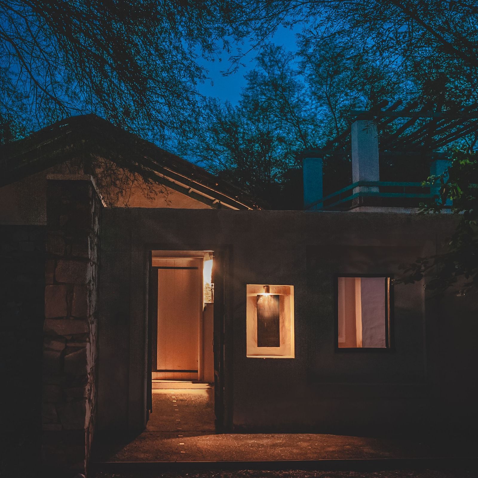 NIght Sky images of the Facade, Trees N Tigers, Sariska