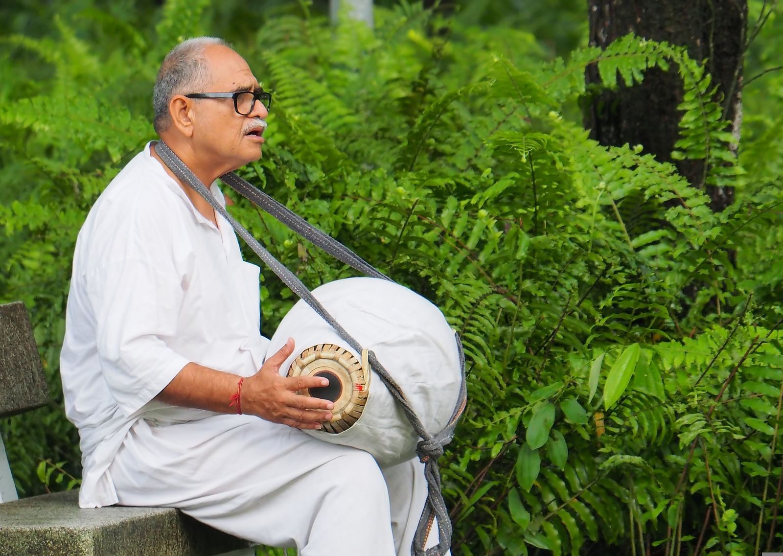 An old man sitting in a park playing an Indian Classical instrument with greenery next to him.