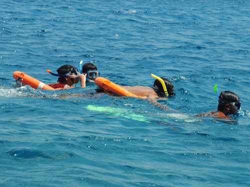 Snorkeling in Andaman and Nicobar Islands
