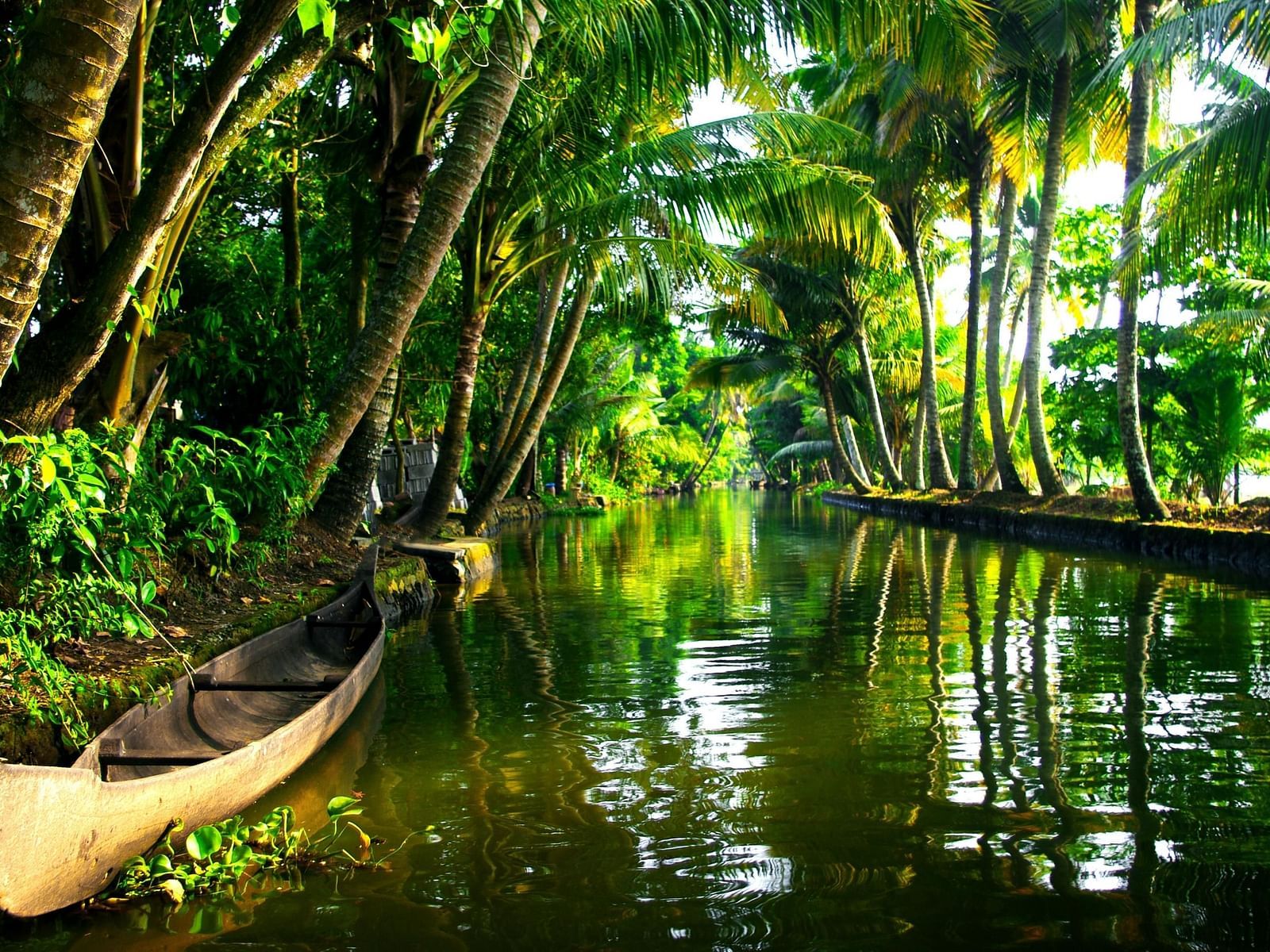 a boat in the backwaters with coconut trees around