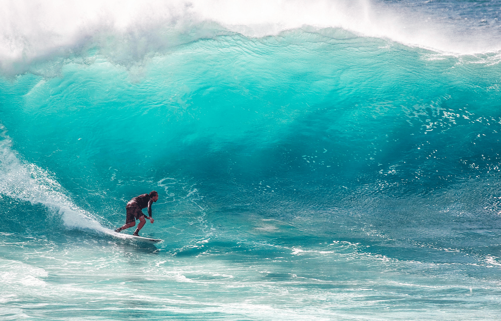 An exhilarating image of a surfer riding a turquoise wave, capturing the essence of adventure and the thrilling interaction between human and nature at sea.