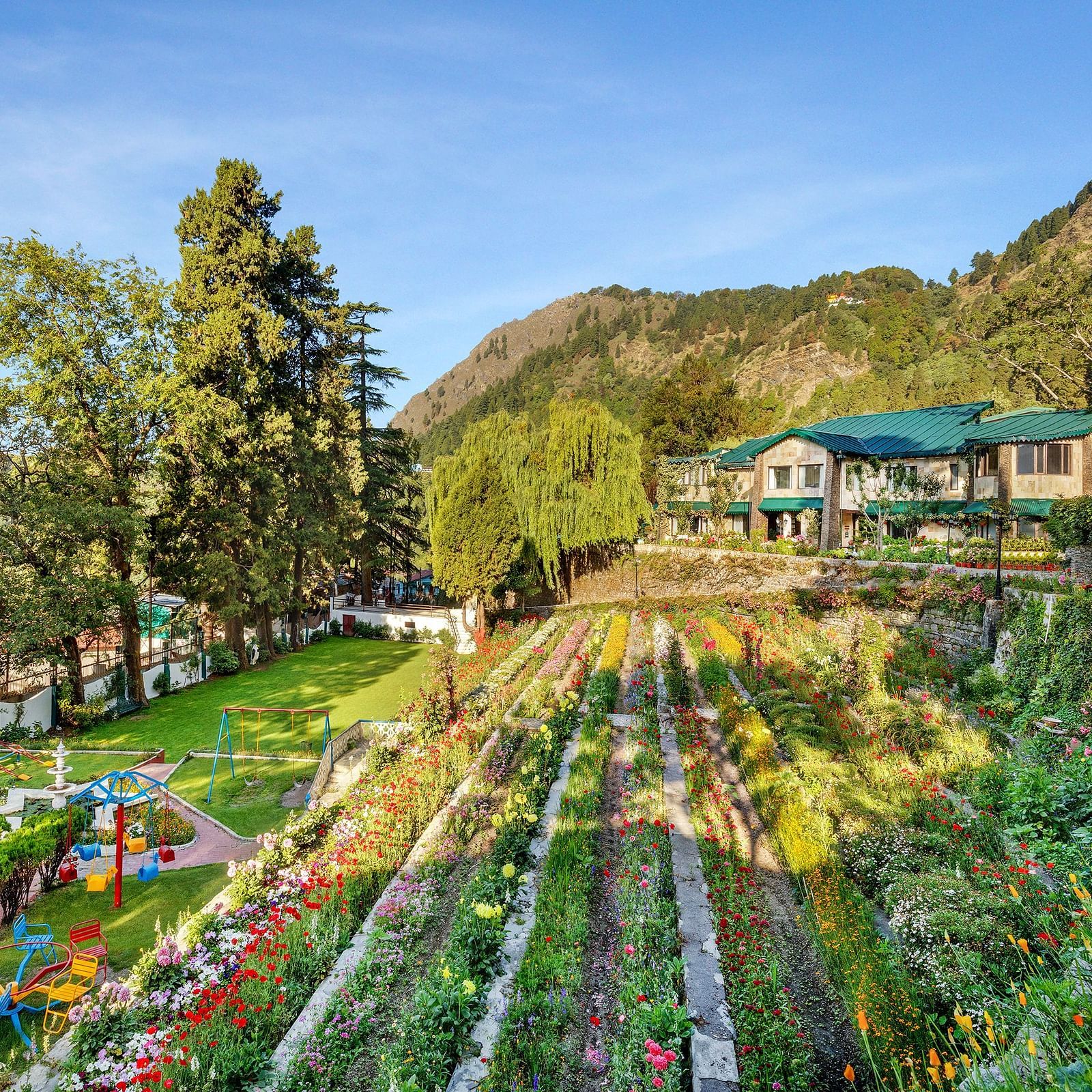   serene lake surrounded by lush green trees and mountains in the background at Shervani Hilltop Nainital 