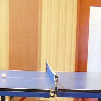 image of two men dressed in casuals playing table tennis at grand palace yercaud
