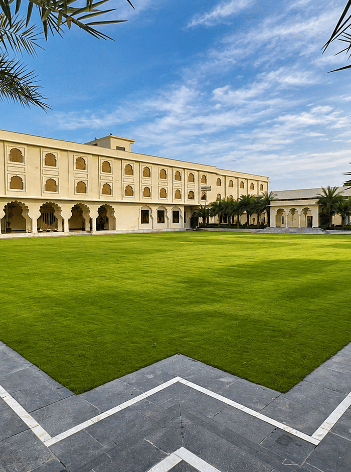 Lawn Area