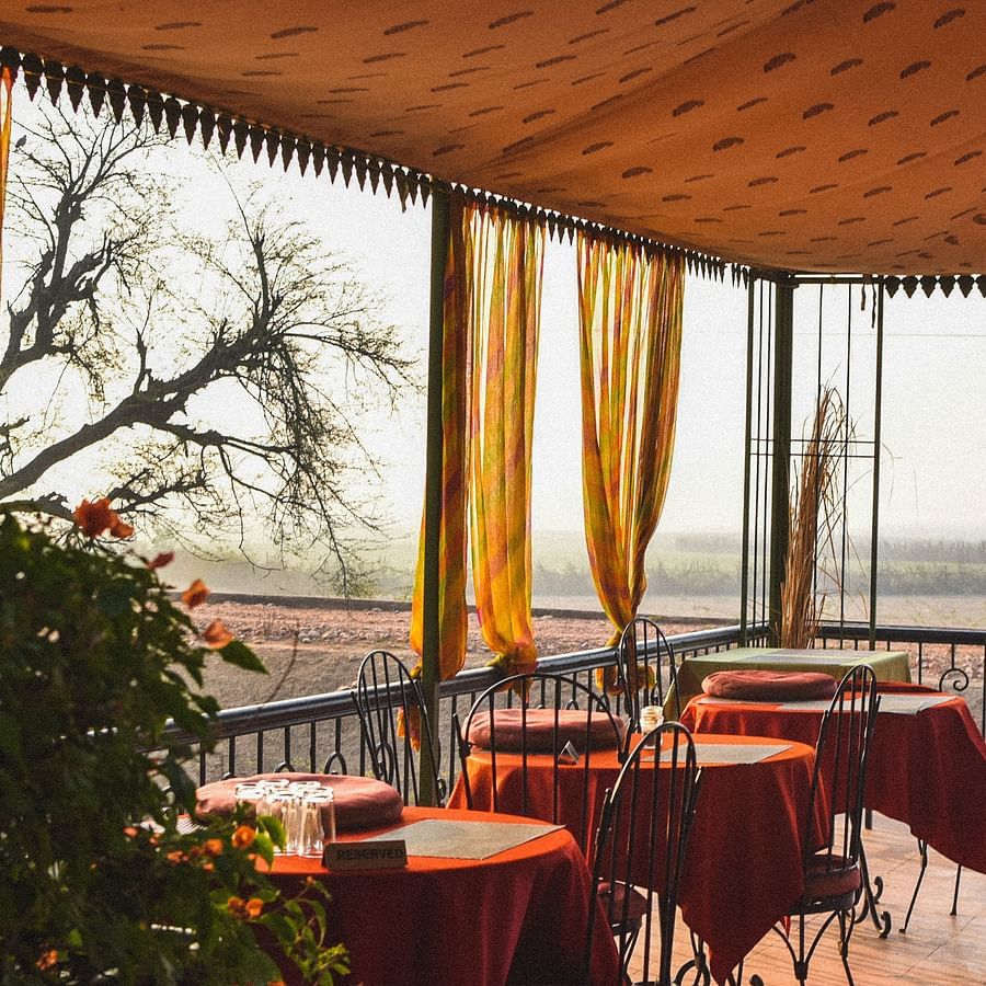 Dining - Upper Deck