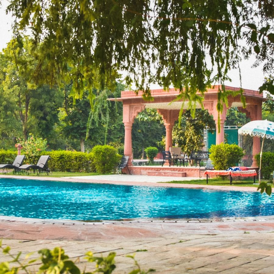 Swimming pool surrounded by trees and plants at Umaid Palace. There is also a four pillared structure near the pool.