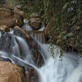 A small waterfall cascading over rocks in a tranquil forest setting, surrounded by trees and vegetation.