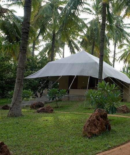 A white tent structure in a garden with palm trees - Shreyas Retreat