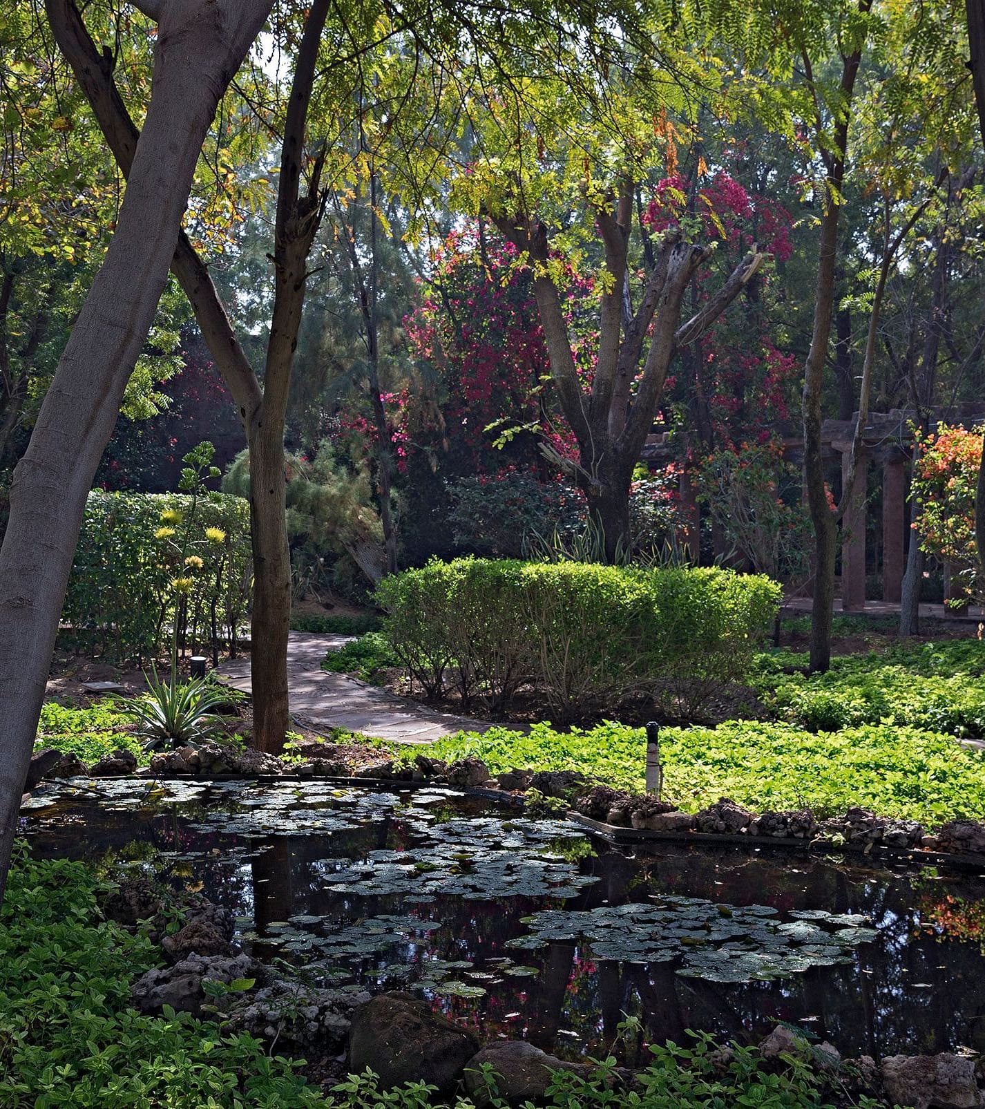 Garden area of Manvar Resort and Desert Camp - 2