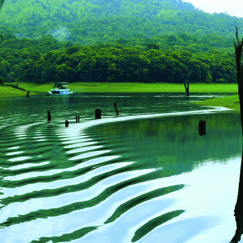 periyar wildlife sanctuary