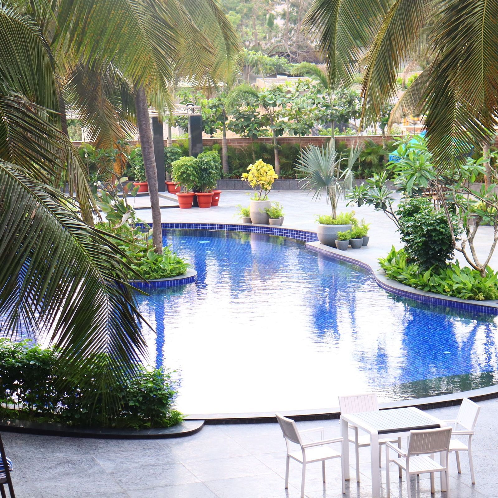 New Swimming Pool (3)