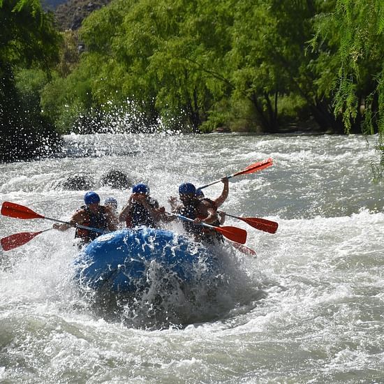 Group of adventurous rafters navigating through whitewater rapids on a river, surrounded by lush greenery.