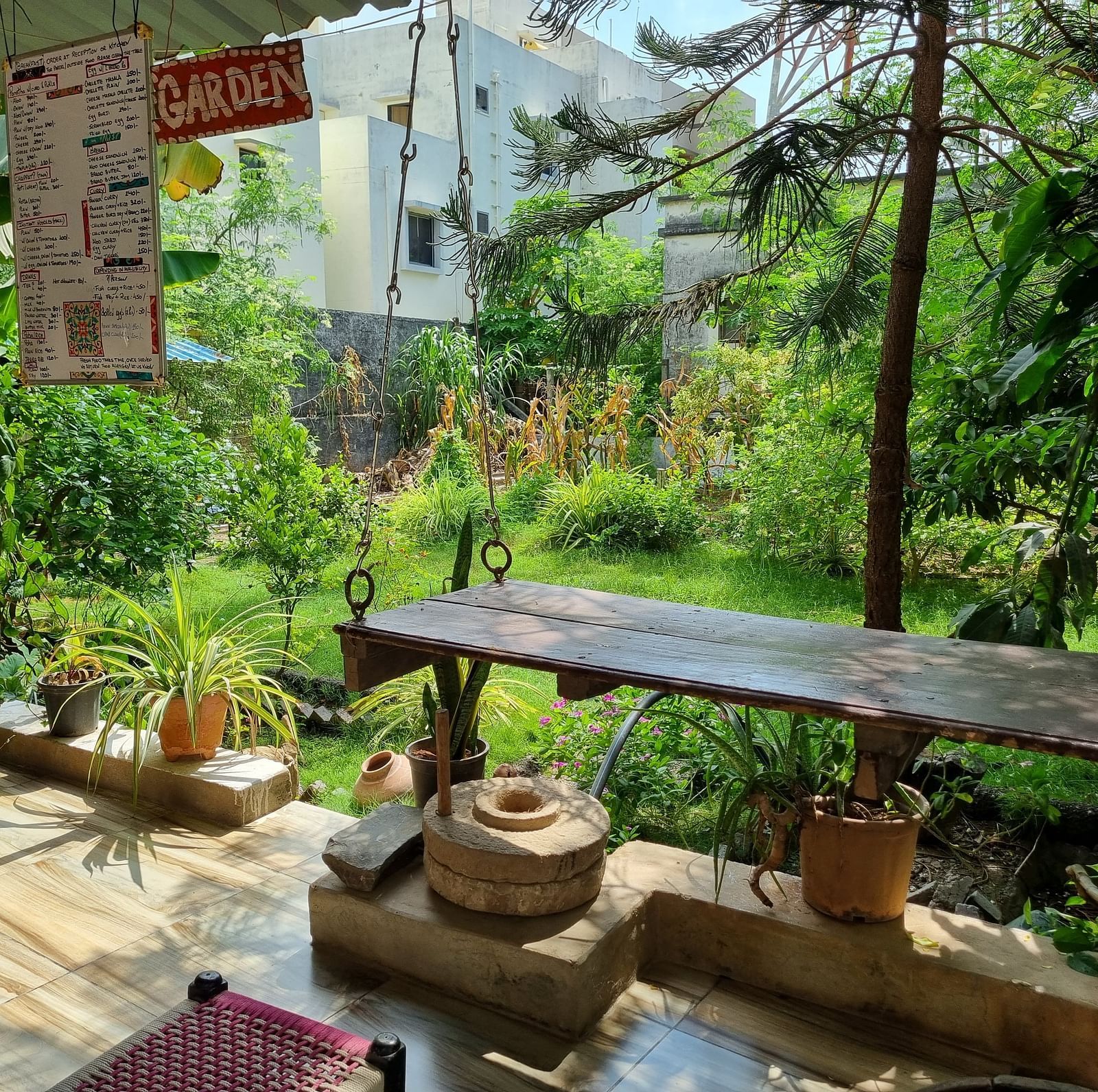 A lush green garden with several bushes and plants at Dream Vision Guest House with a wooden bench overlooking the scenery.