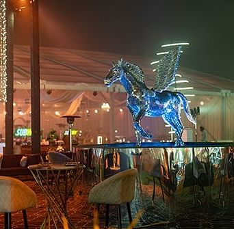 A lavish decoration of  wedding celebration at Nirvana Luxury Hotel, Ludhiana.
