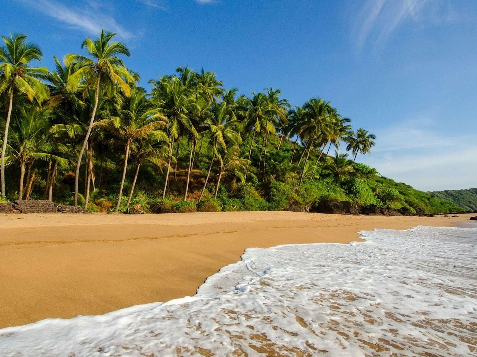 An image of a beach where waves are touching the shore and at the end there is palm trees