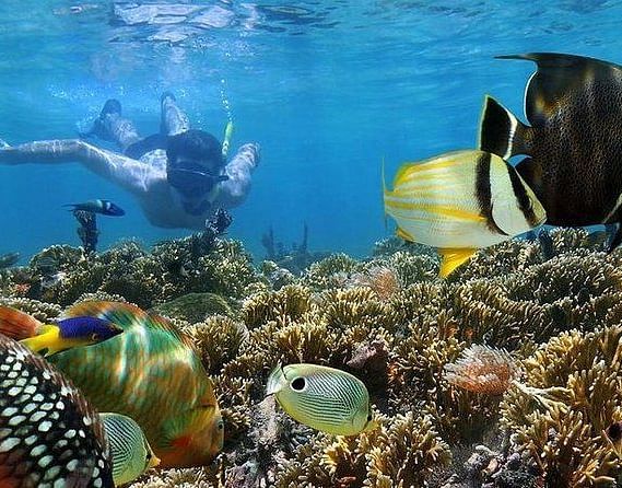 Snorkeling Activity