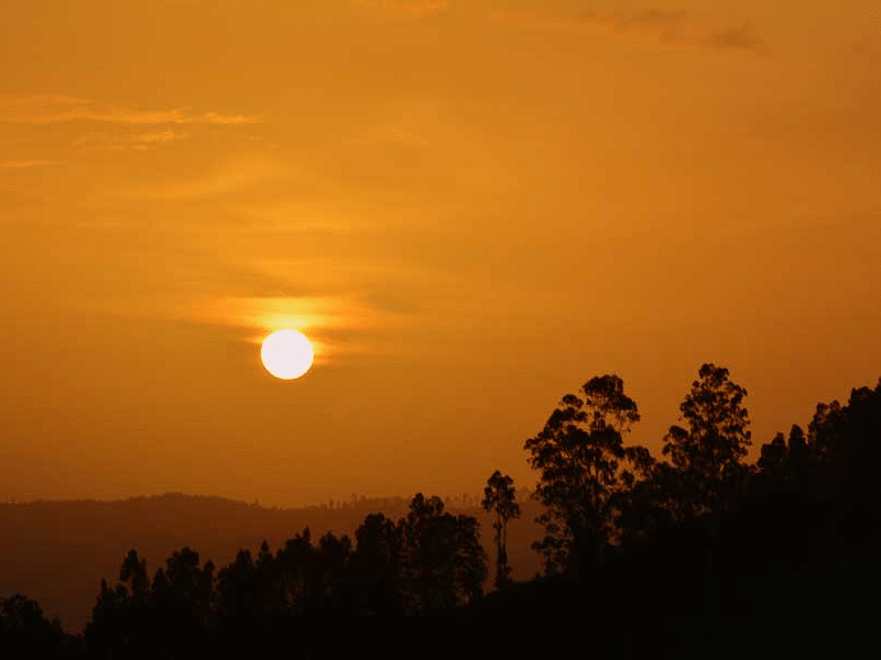 Beautiful orange sunset with silhouetted trees and hills.