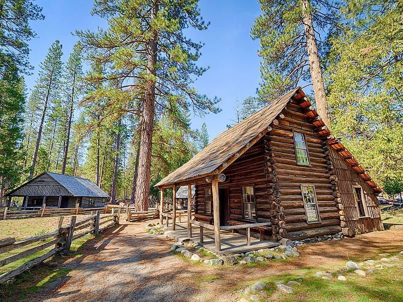 An overview of a cabin in the woods with tall trees next to it and blue sky above.