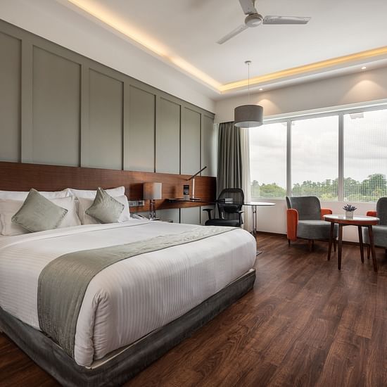 Mysore Hotel New Photographs (5)
