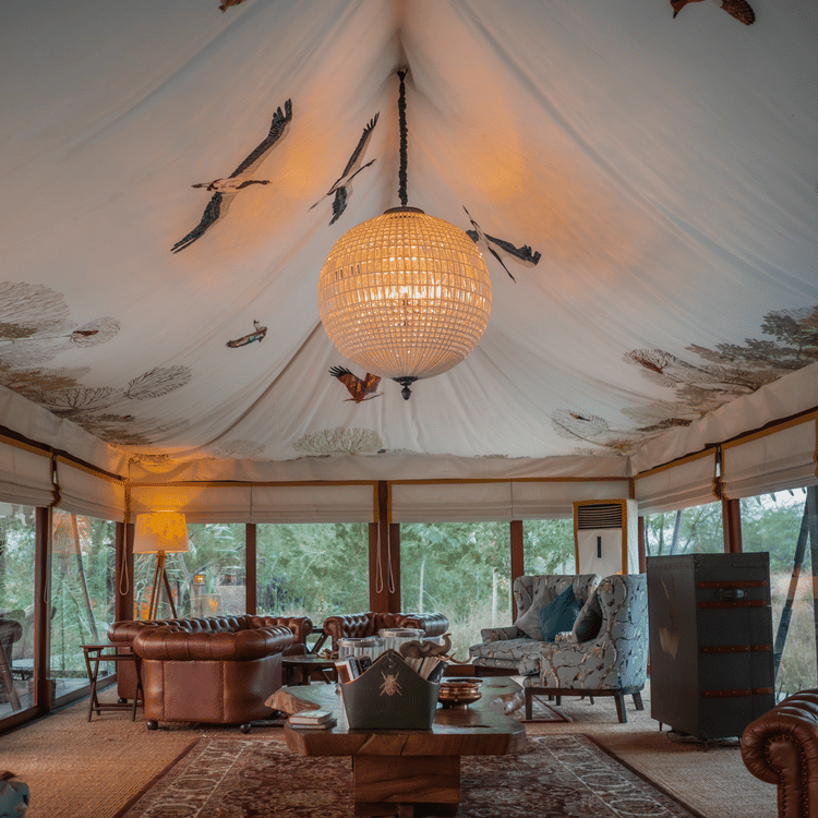 The Blackbuck Lodge - inside the lounge area with seating space and serene view outside