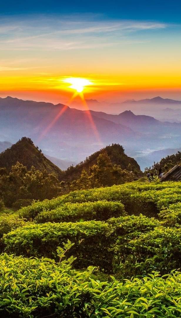 kurseong ulcmdv