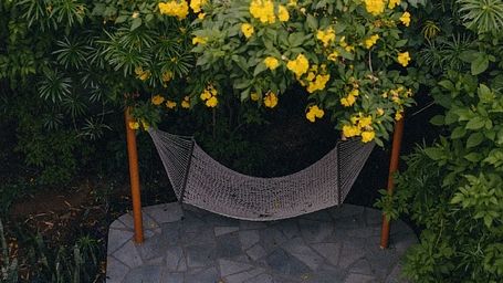 Hammock set up between green bushes and trees in a quiet corner at Karma Chalets.