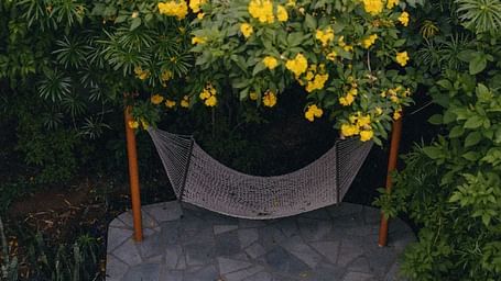 Hammock set up between green bushes and trees in a quiet corner at Karma Chalets.