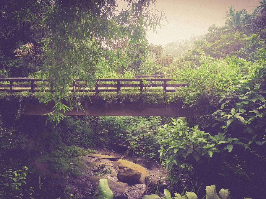 A rustic wooden and stone bridge crossing a stream in a dense, green forest.