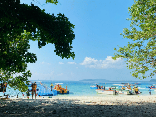Beach shoreline framed by tropical trees with calm blue sea in the background.