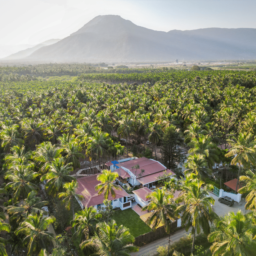 Drone shot of the white resort cottage with a red roof and blue window frames, surrounded by palm trees and green lawns - Ibex Resorts, Coimbatore (Kakarla)