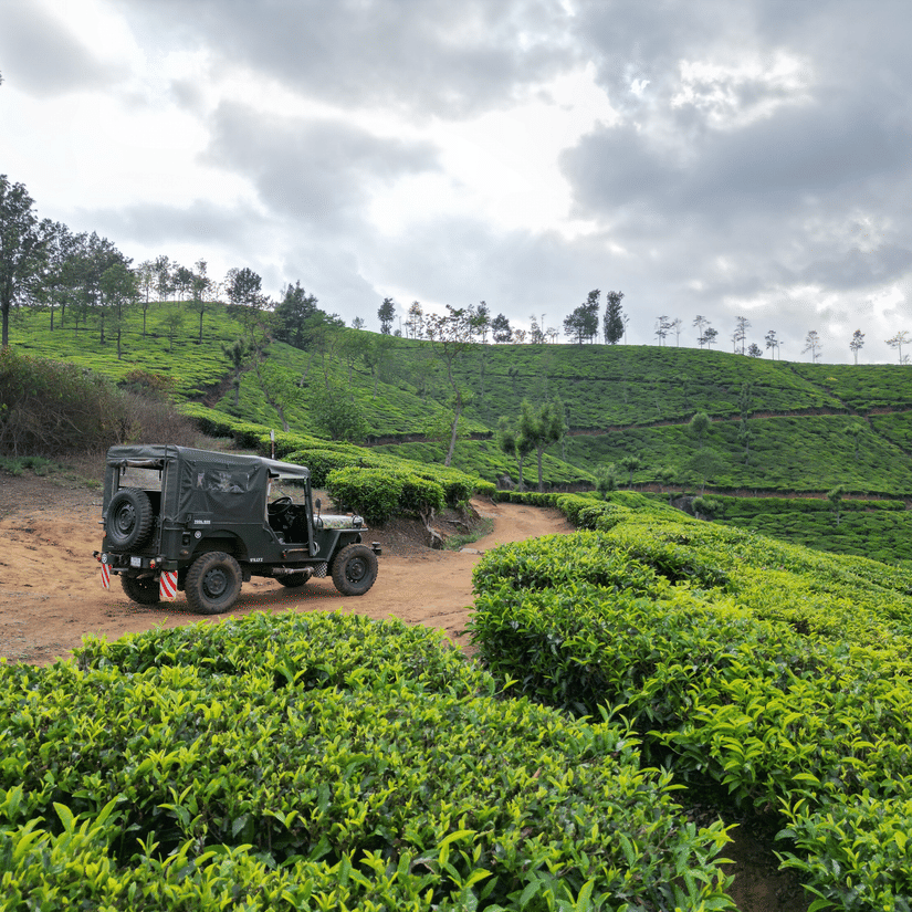A motor vehicle sits on a dirt track. Plantations cover the hillsides that rise toward a sky with clouds.