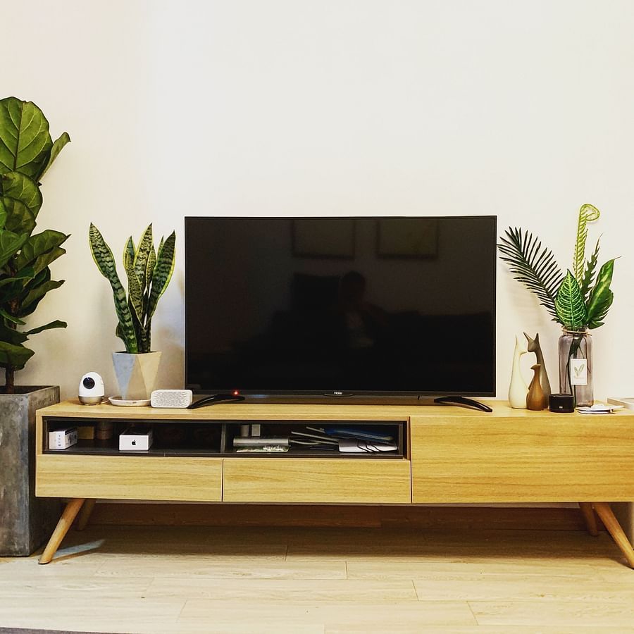 A front view of a TV on a wooden TV bench flanked by two potted plants in a living room
