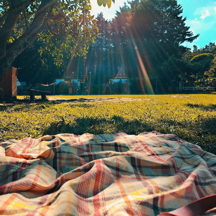 jennie-clavel-G0zoYDFvUXQ-unsplash