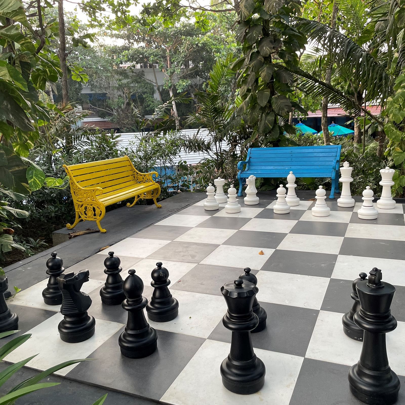 Outdoor Chess