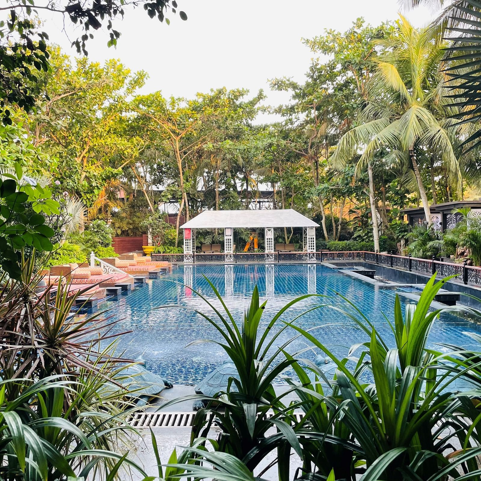 Swimming Pool 1