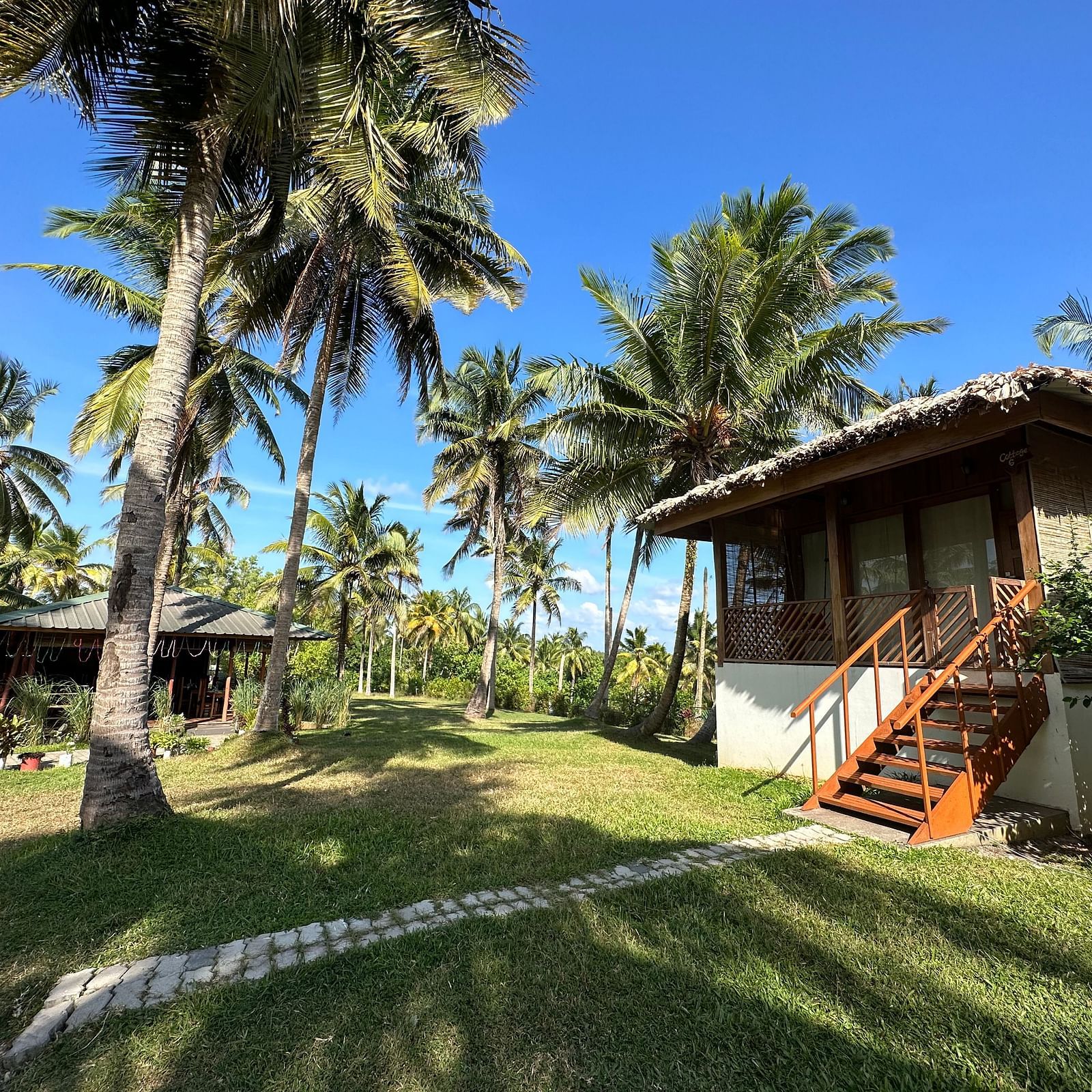 A charming resort building with a thatched roof, surrounded by lush green grass and palm trees under a bright sky.