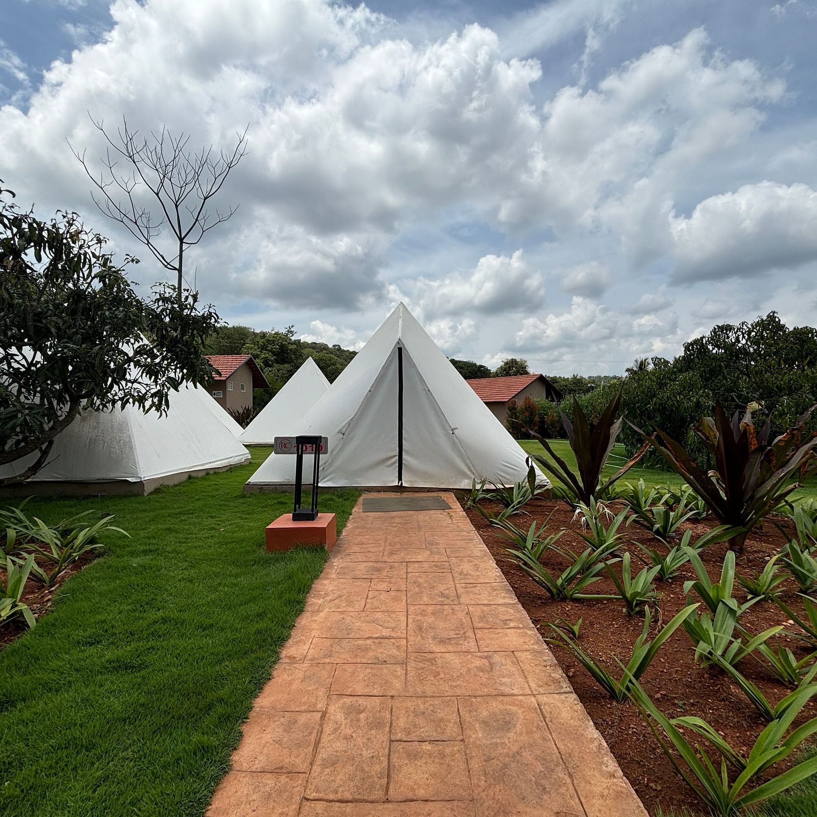 A scenic view of a resort area with tents lined along a neat walkway, surrounded by a well-maintained lawn.