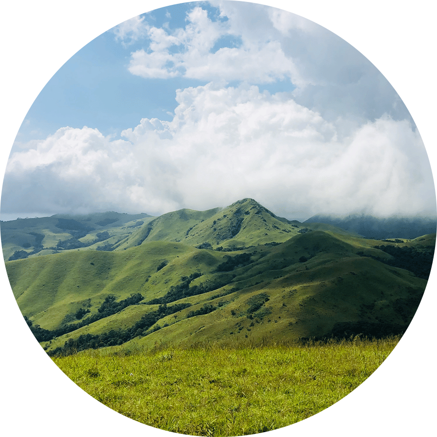 Rolling green mountain peaks blanketed by thick white clouds under a bright blue sky
