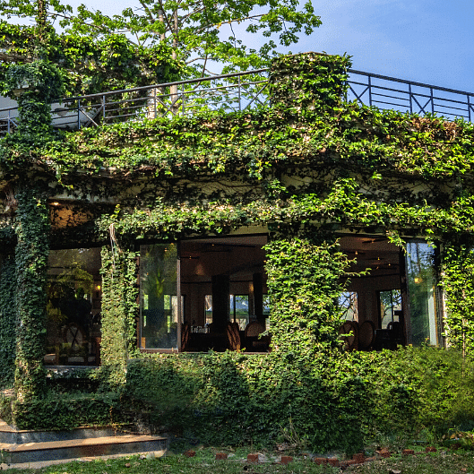 The Hideaway Restaurant covered in green leaves at The Riverwood Forest Retreat, Dooars