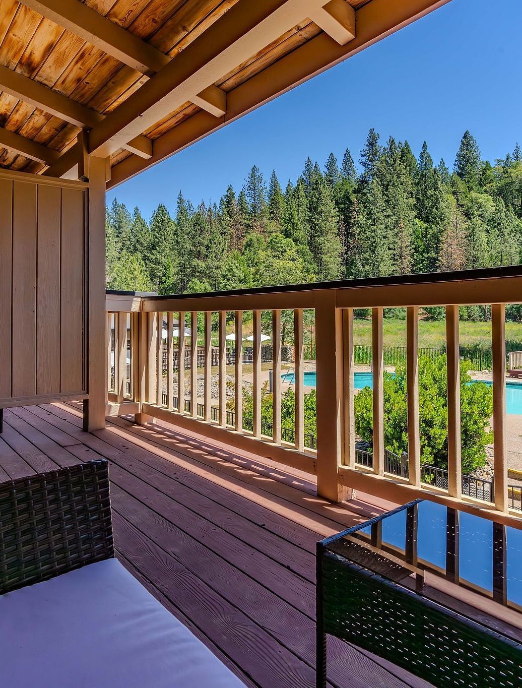 A view of the forest from a balcony of a room at Amador Hotel.