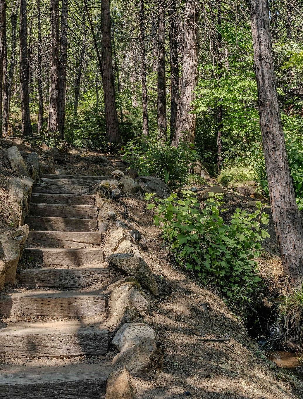 A trail in the forest with steps carved out of stone - Narrow Gauge Inn - A Serenite Hotel Near Fish Camp.