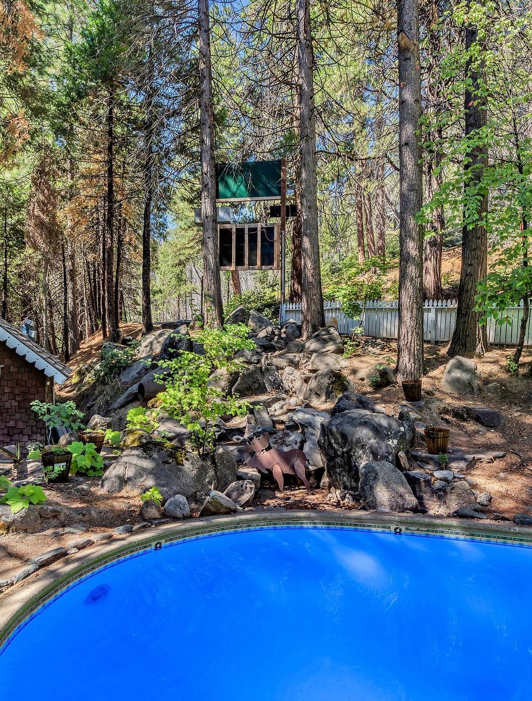 Outdoor swimming pool area at Narrow Gauge Inn surrounded by trees.